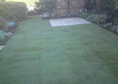 just the garden facebook gallery 75